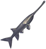 American Paddlefish