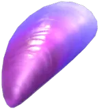 퍼플다이아몬드 홍합