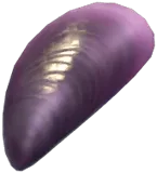 블랙다이아몬드 홍합