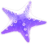 Purple Light Sea Star