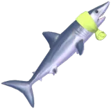 Green Bath-Towel Mako Shark