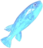 Frostspore Puffer Fish