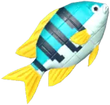 Green Brick Clownfish