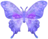 Frostspore Purple Spotted Swallowtail