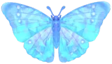 Frostspore Sulkowsky's Morpho