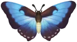 Morpho Luna
