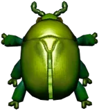 Green Flower Chafer