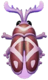 Purple-horned Firefly