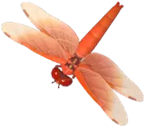 Flame Skimmer