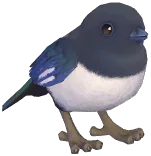 까치