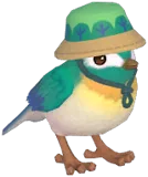 Green Camping Sparrow