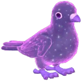 Purple Starry Stock Dove