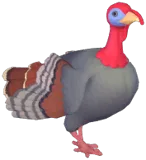 Turkey
