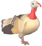 로열팜칠면조