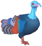 Ocellated Turkey