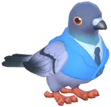 Blue Suit Dove
