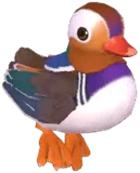 Mandarin Duck