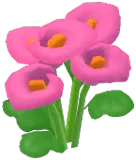 진분홍색 칼라