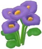 보라색 칼라