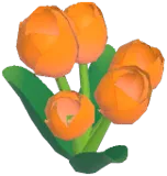 주황색 튤립