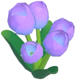 Purple Tulip
