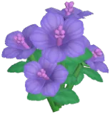 Purple Hibiscus