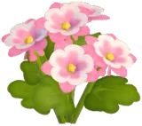 Pink Columbine