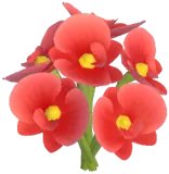 Red Moth Orchid