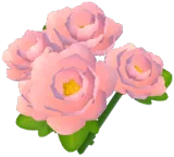Pink Peony