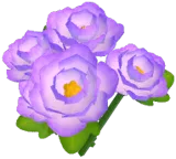 Purple Peony