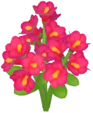 Red Winter Jasmine
