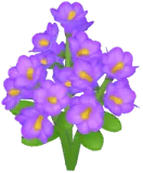 Purple Winter Jasmine