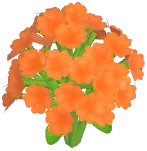 Orange Baby's Breath