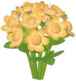 Yellow Masterwort
