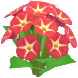 Red Morning Glory