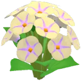 흰색 나팔꽃