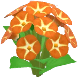 주황색 나팔꽃