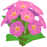 진분홍색 나팔꽃