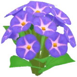 Purple Morning Glory