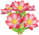 Red Wynberg Conebush