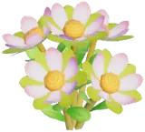 흰색 루카덴드론