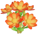 Orange Wynberg Conebush