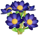 검은색 루카덴드론