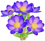 보라색 루카덴드론