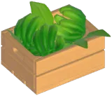 Vanilla