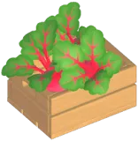 Beet