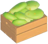 보검선인장